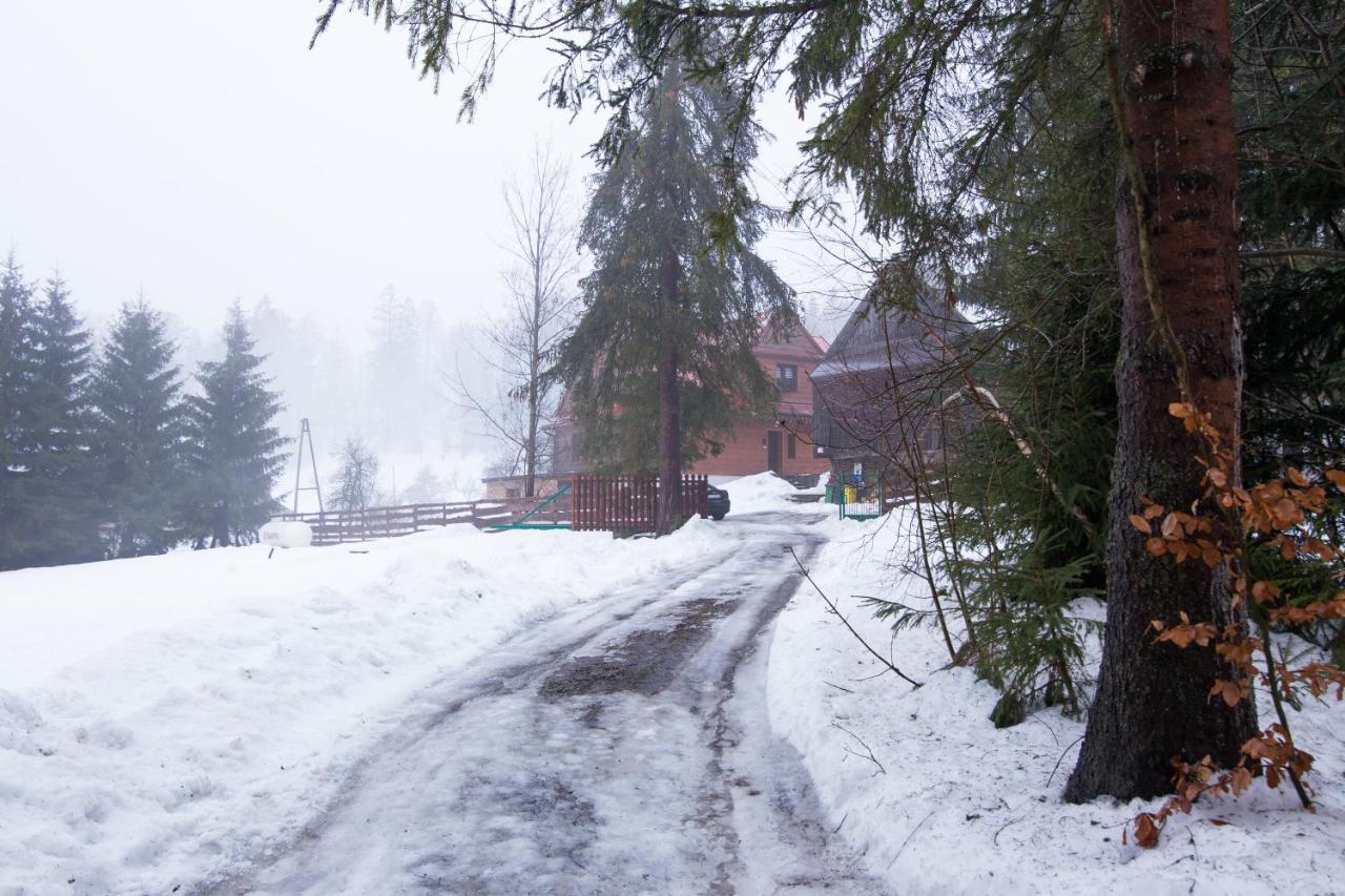 Gosciniec Tokarzonka Villa Istebna Bagian luar foto