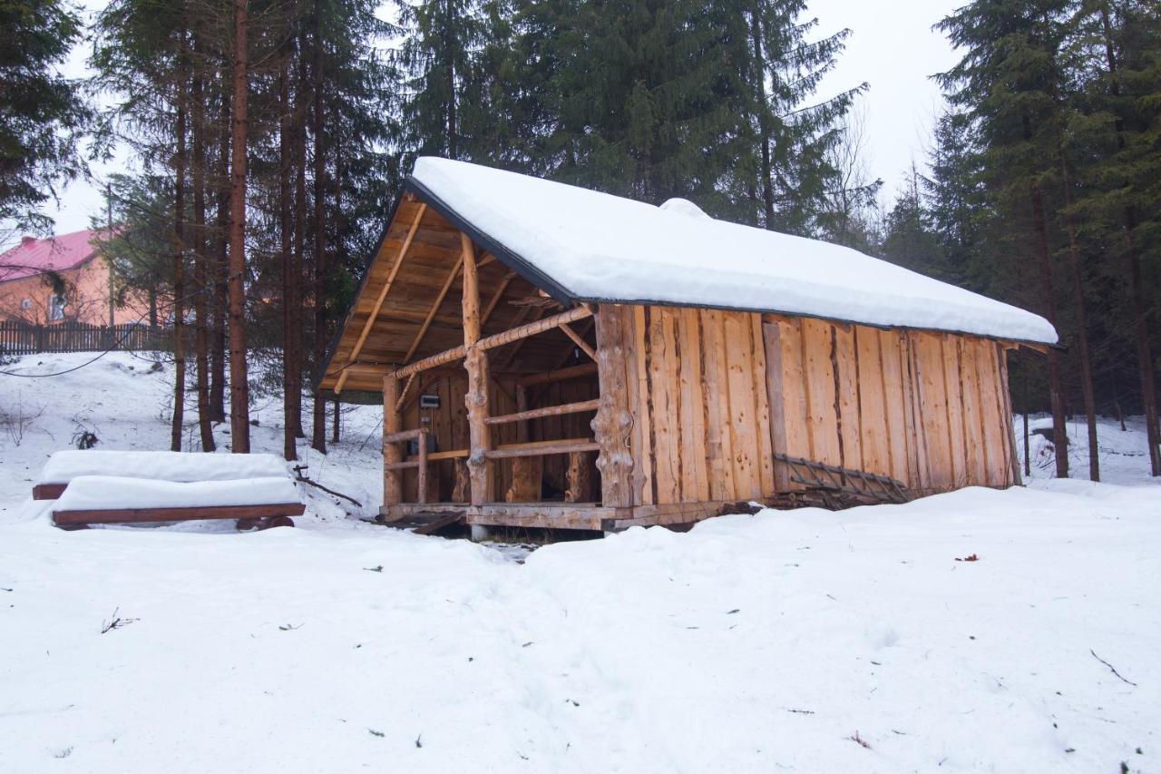 Gosciniec Tokarzonka Villa Istebna Bagian luar foto